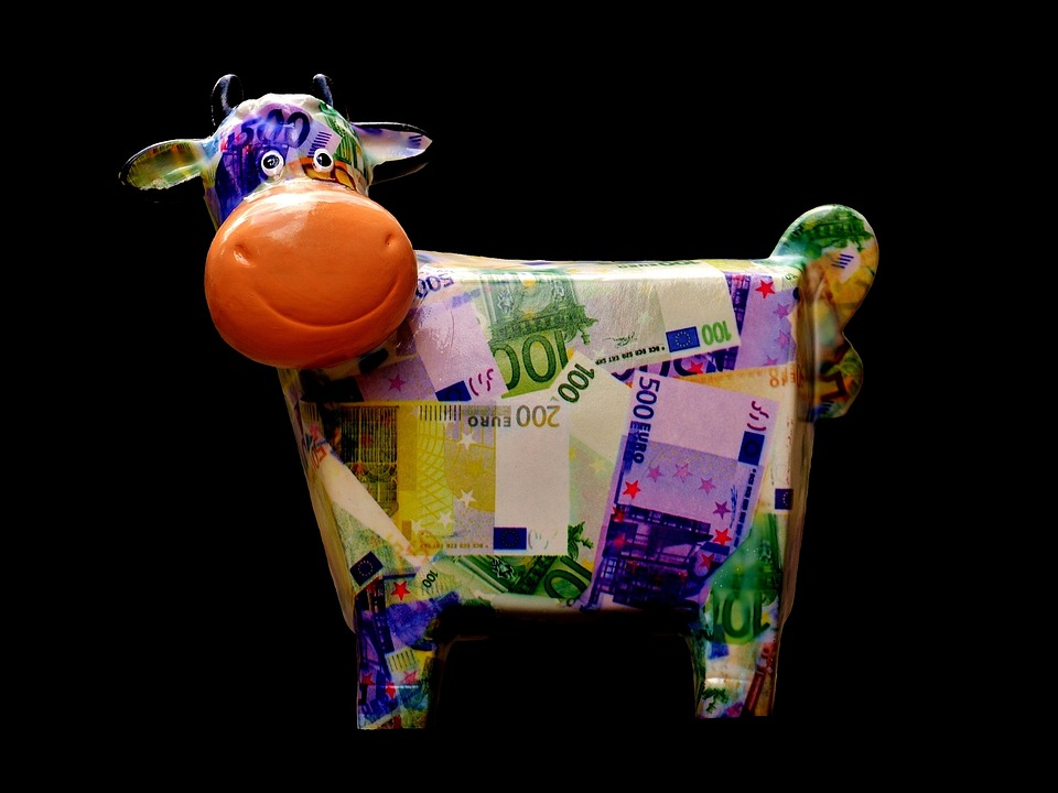 eurová kráva